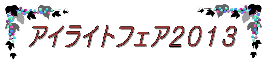 アイライトフェア2013